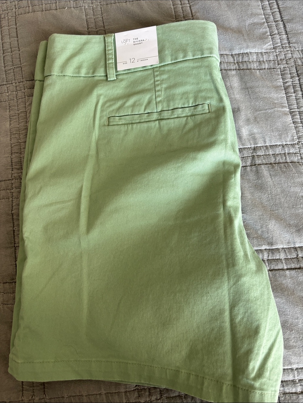 LOFT Light Green Chino Shorts